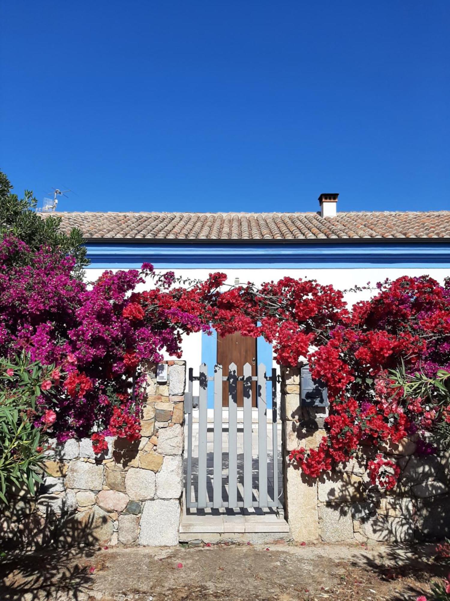Bed and Breakfast Casale Diletta Castiadas Zewnętrze zdjęcie