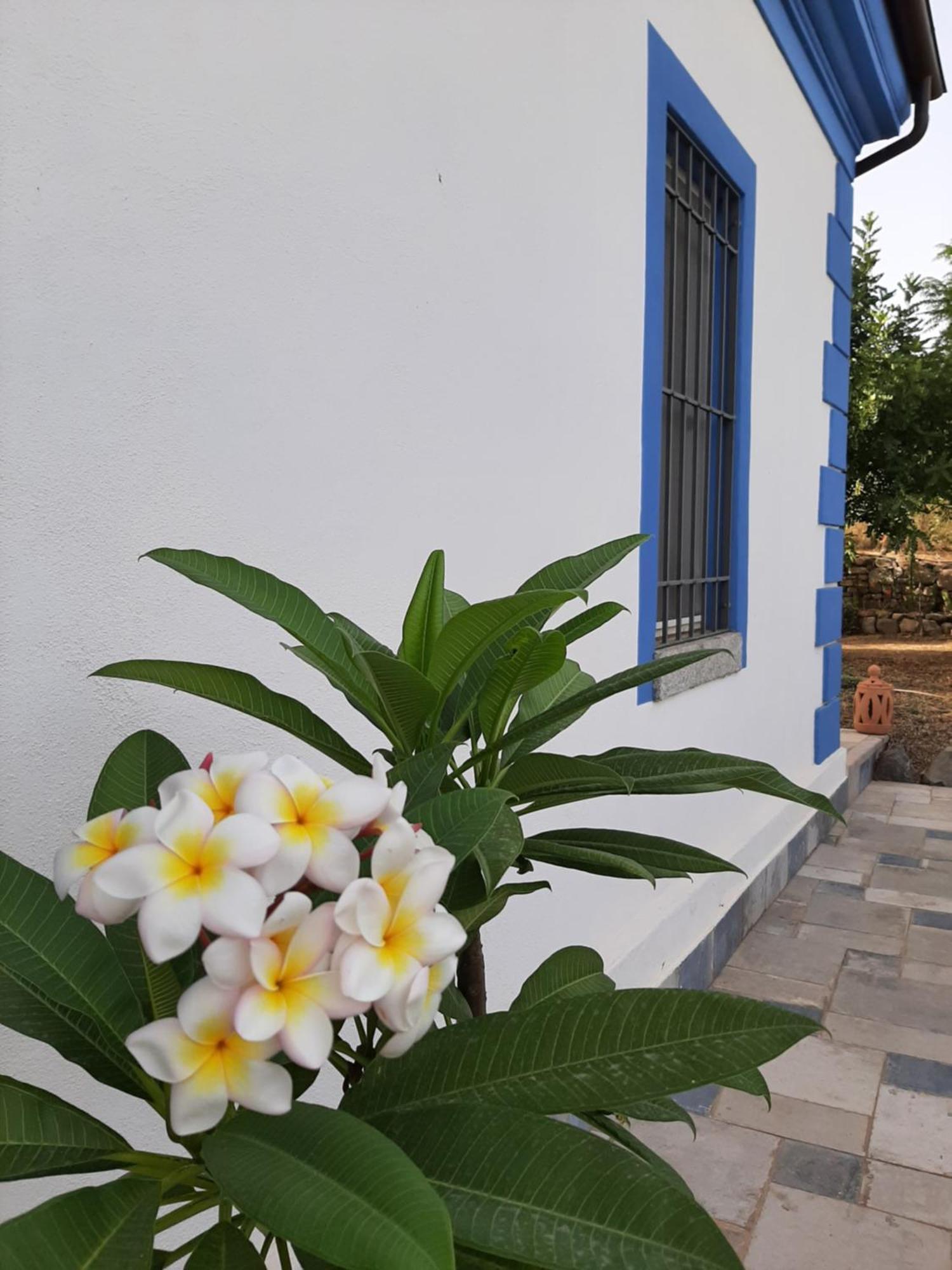 Bed and Breakfast Casale Diletta Castiadas Zewnętrze zdjęcie