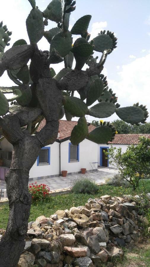 Bed and Breakfast Casale Diletta Castiadas Zewnętrze zdjęcie